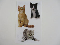Mrs Grossman Adorable Kittens Cat Photoessence Sticker Sheet / Module - Vintage & Collectible