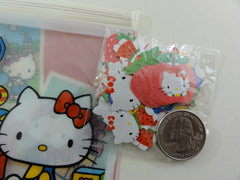 Kawaii Sanrio Hello Kitty Ziplock Bag Flake Sticker Sack 2013 - Rare VHTF