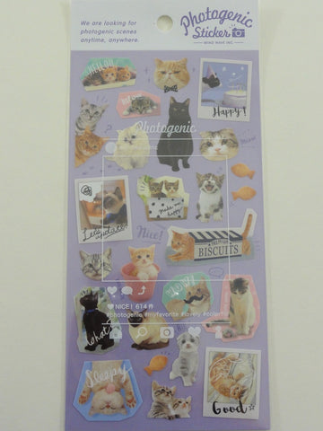 Cute Kawaii Mind Wave Cat Kitten Photo Stickers Sheet