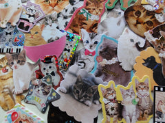 Cute Lovely Cat Kitten Flake Photo Stickers - 40 pcs